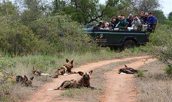 Motswari Private Game Reserve - Timbavati Klaserie Private Nature Reserve Exterior photo