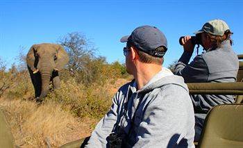 Motswari Private Game Reserve - Timbavati Klaserie Private Nature Reserve Exterior photo