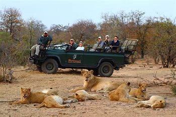 Motswari Private Game Reserve - Timbavati Klaserie Private Nature Reserve Exterior photo