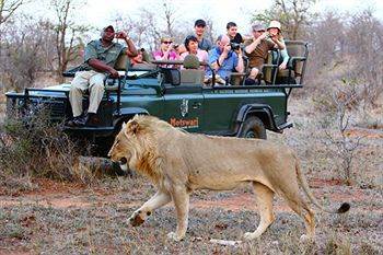 Motswari Private Game Reserve - Timbavati Klaserie Private Nature Reserve Exterior photo