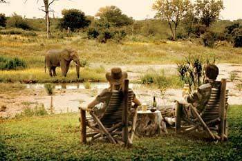 Motswari Private Game Reserve - Timbavati Klaserie Private Nature Reserve Exterior photo